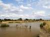 Classic Zambia Walking Safari