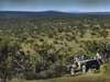 Eastern Cape Frontier Safari