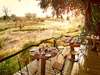 Cape To Kruger for Wine & Art Connoisseurs