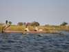 Affordable Fly-In Botswana Safari