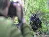 Exhilarating Gorilla Trekking Experience