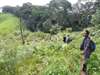 Exciting Gorilla Trekking Adventure