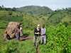 Chimps, Gorillas & Game Explorer