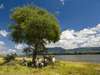 Lower Zambezi Adventure Holiday