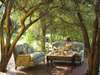 Ngala Safari Lodge - high tea
