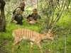 Phinda Mountain Lodge - kid walk
