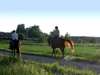 Franschhoek Country House - horse-riding