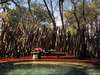 Sandibe Okavango Safari Lodge - swimming pool
