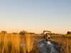 Camp Okavango - water safari