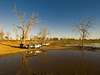 Camp Moremi - landscape