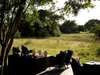 Phinda Forest Lodge - lodge deck