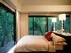 Phinda Forest Lodge - suite