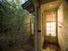 Phinda Forest Lodge - inside shower