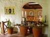 Pinewood Village Beach Resort - Bar.
