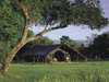 Little Governors' Camp  - tent exterior