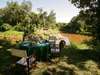 Governors' Private Camp - outdoor dining