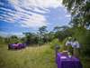 Grumeti Serengeti Tented Camp - bush dining