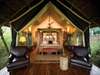 Kichwa Tembo Bateleur Camp - tent exterior