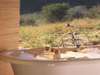 Kwandwe Great Fish River Lodge - bathroom