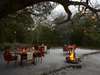 Kosi Forest Lodge - outdoor dining