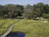 Little Vumbura - wilderness