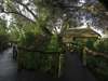 Serra Cafema Camp - walkways