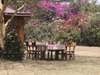 Ngong House - dining