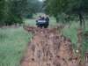Shumbalala Lodge - game drive