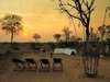 Tintswalo Safari Lodge - outdoor dining