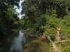 Volcanoes Bwindi Lodge - tracking