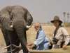 Selinda Camp - game drive + elephant