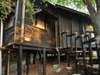 Nile Safari Lodge - treehouse