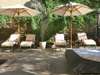 Olive Grove - sun loungers