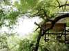 Londolozi Tree Camp - deck surrounded by trees