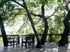 Londolozi Tree Camp - deck