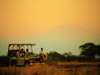 Amboseli Porini Camp - amboseli