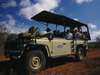 Amboseli Porini Camp - game drive