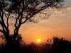 Londolozi Pioneer Camp - sunset