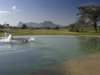 Joy's Camp - natural spring