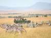 Richard's Camp - game drive