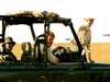 Richard's Camp - game drive + cheetah