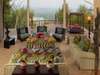 Singita Pamushana Lodge - lounge area
