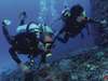 Pole Pole Bungalow Resort - scuba diving