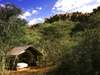 Savute Under Canvas - tent exterior