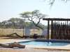 Onguma Bush Camp - swimming pool