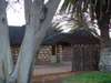 Onguma Bush Camp - surrounding vegetation