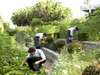 Cellars-Hohenort - Garden