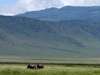Lemala Ngorongoro - landscape