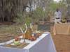Galdessa Main Camp - bush breakfast