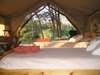 Ishasha Wilderness Camp - bedroom